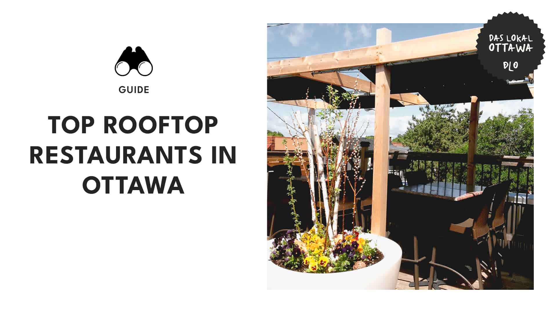 Ottawa’s Elevated Eats Top Rooftop Restaurants in the City