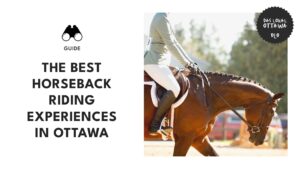 Saddle Up Ottawa’s Ultimate Horseback Riding Experiences