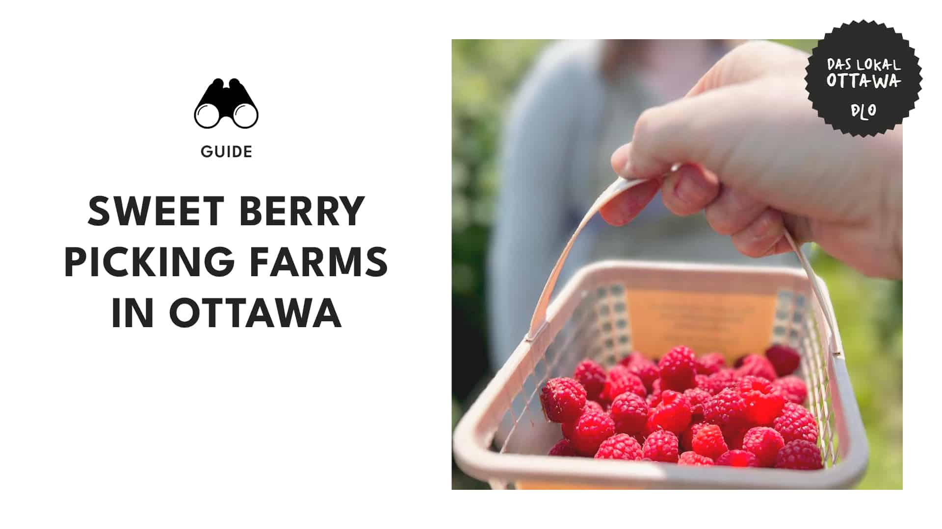 Top 10 Berry Picking Spots in the Ottawa Area