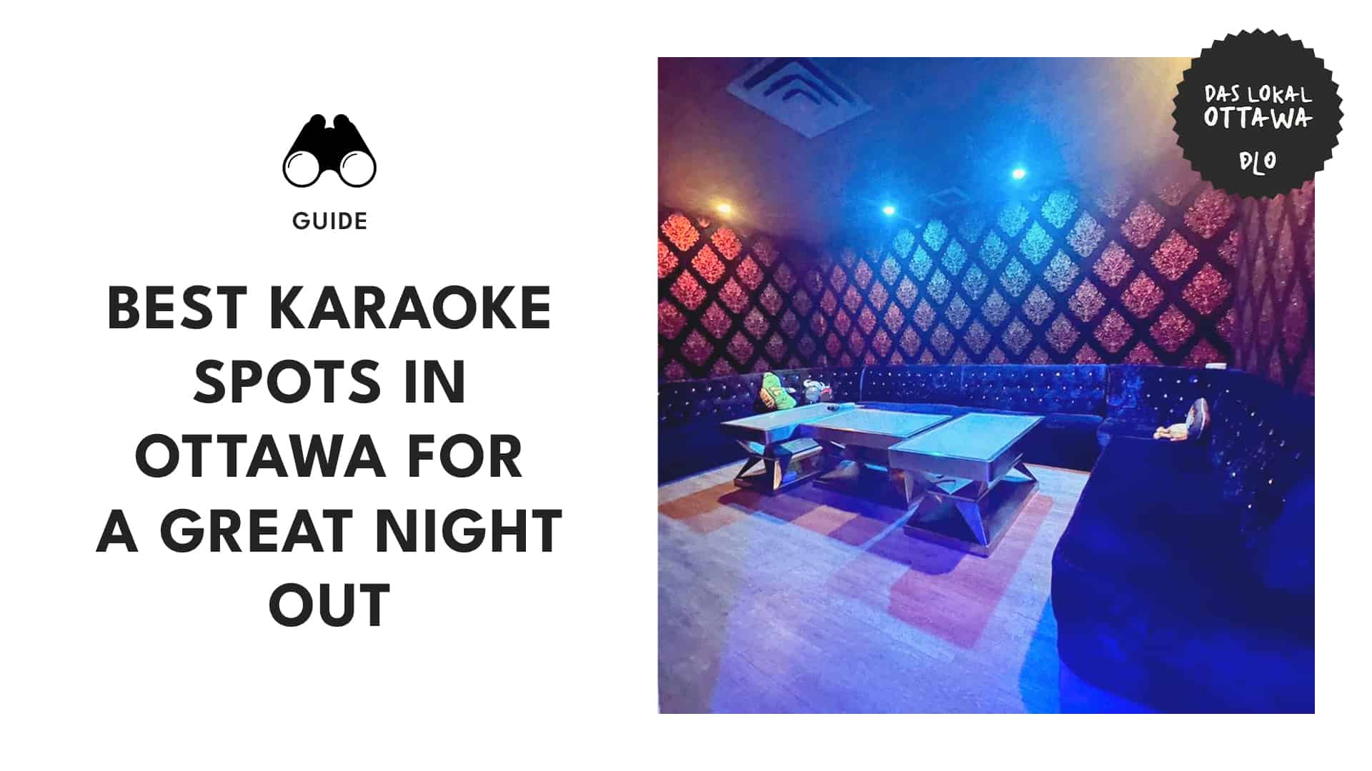 Top 12 Must-Visit Karaoke Spots in Ottawa