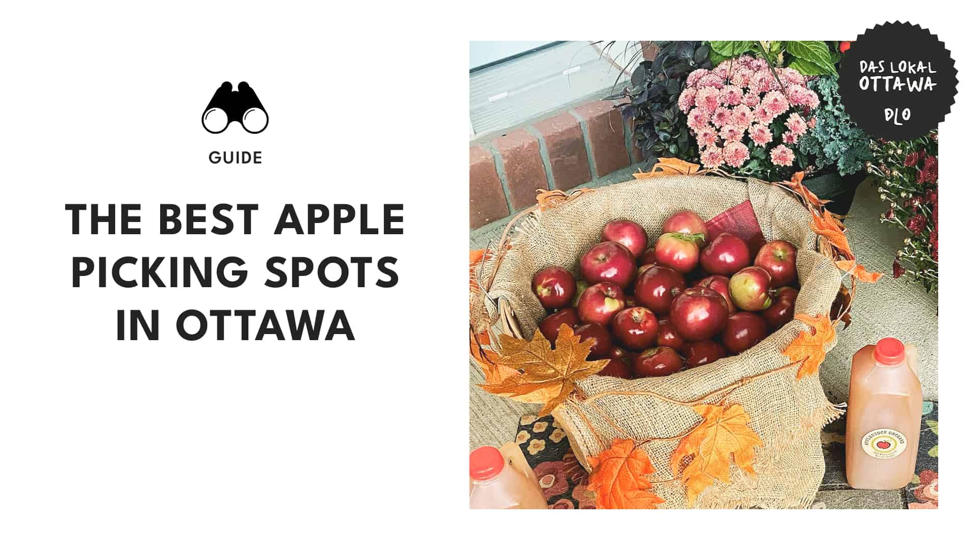 Top Apple Orchards Near Ottawa Where to Pick Your Own