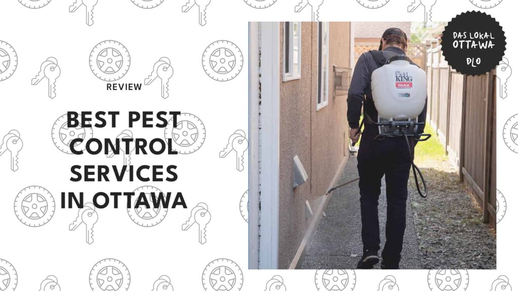 8 Best Pest Control Services in Ottawa