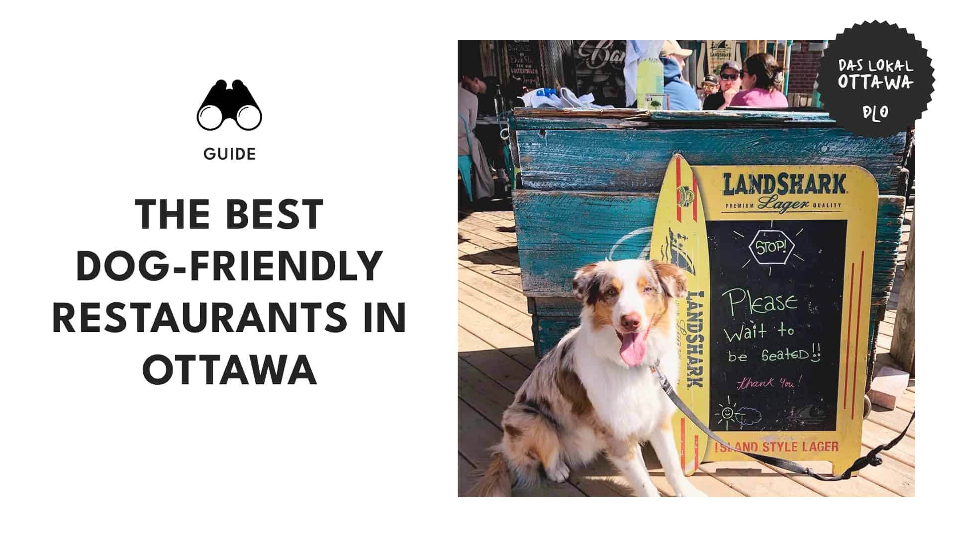 Barks & Bites Top Dog-Friendly Restaurants in Ottawa