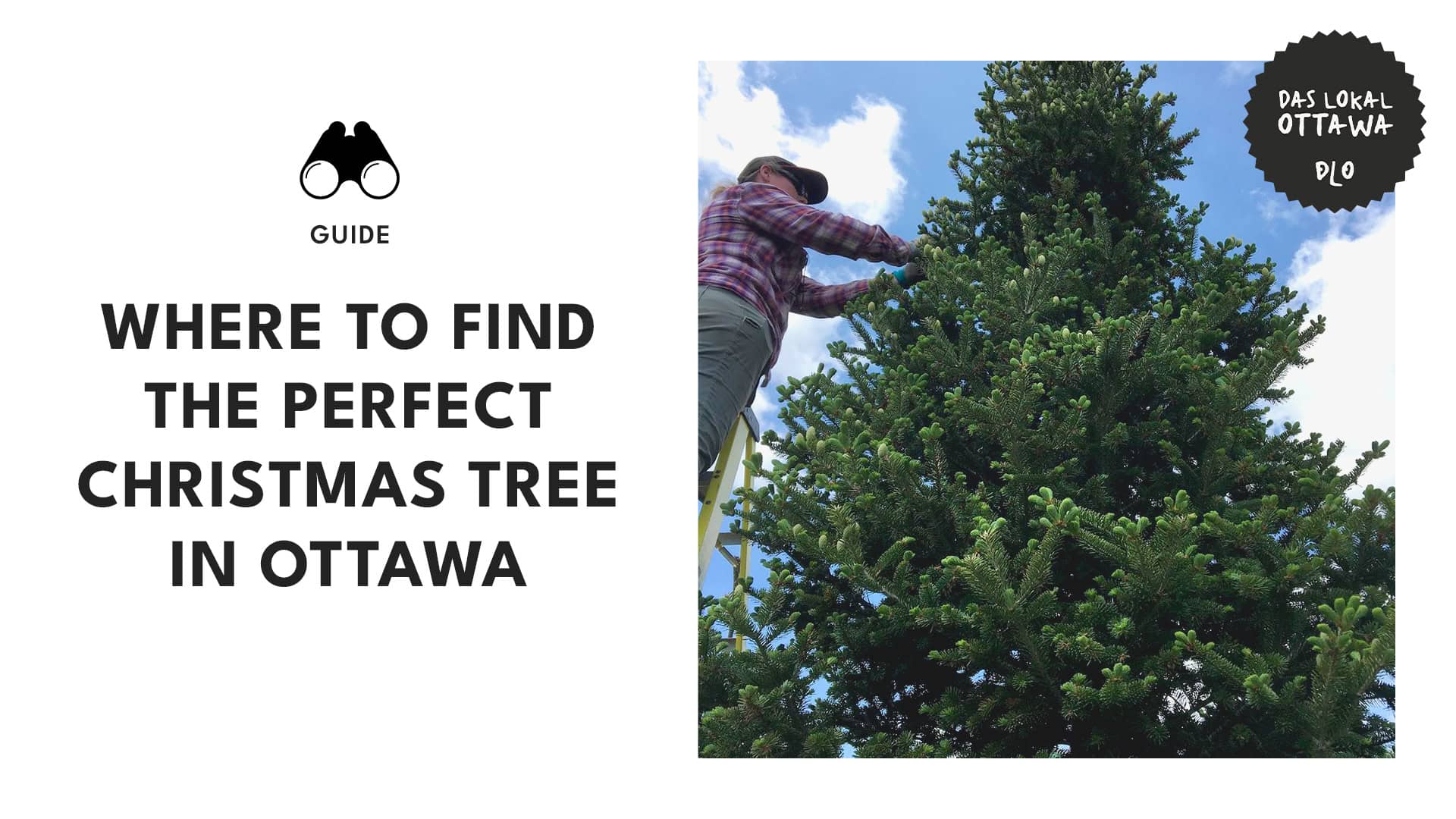 17 Spots in Ottawa to Find Your Perfect Christmas Tree 