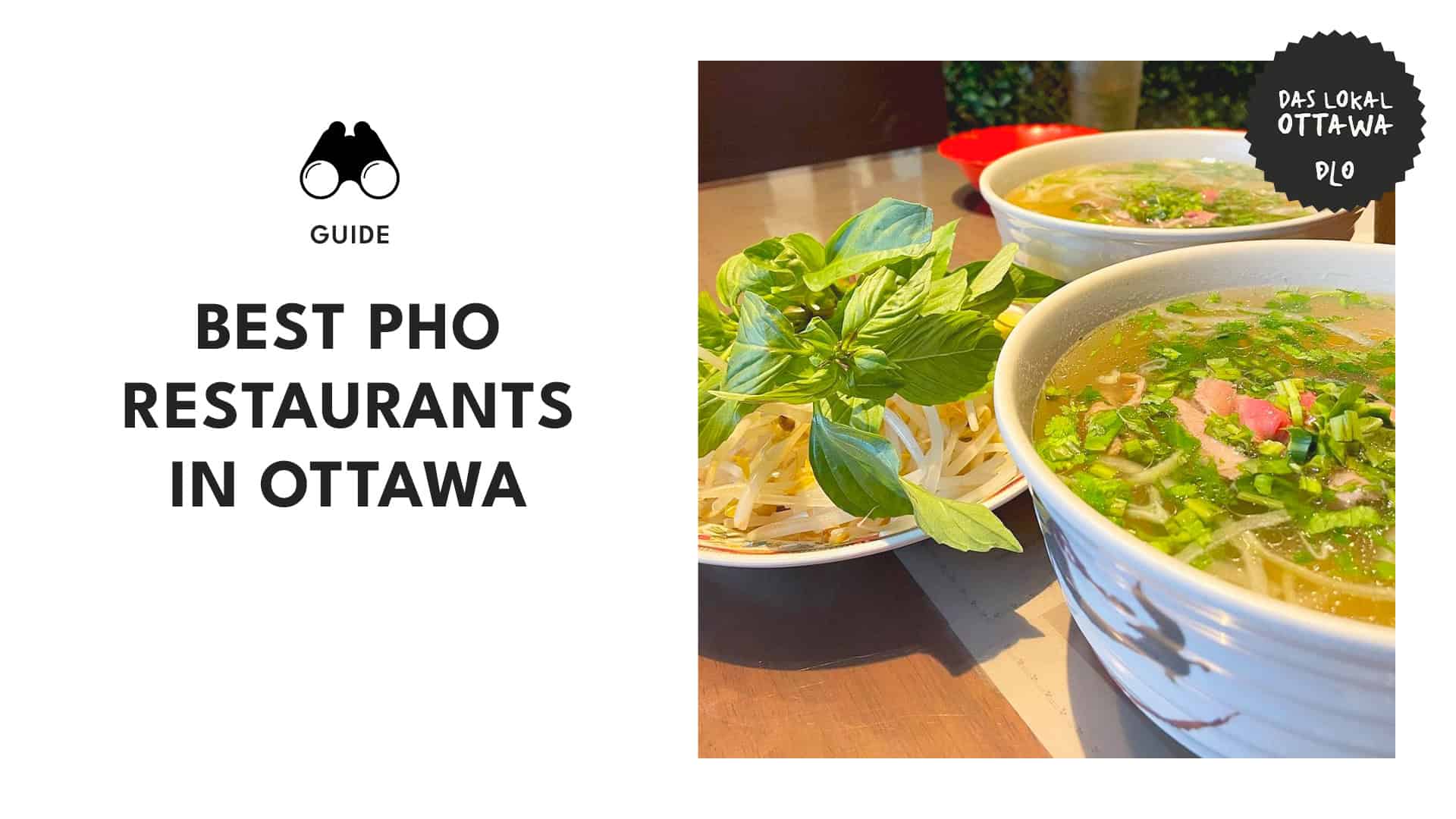 Authentic Vietnamese Pho Restaurants in Ottawa for Noodle Lovers