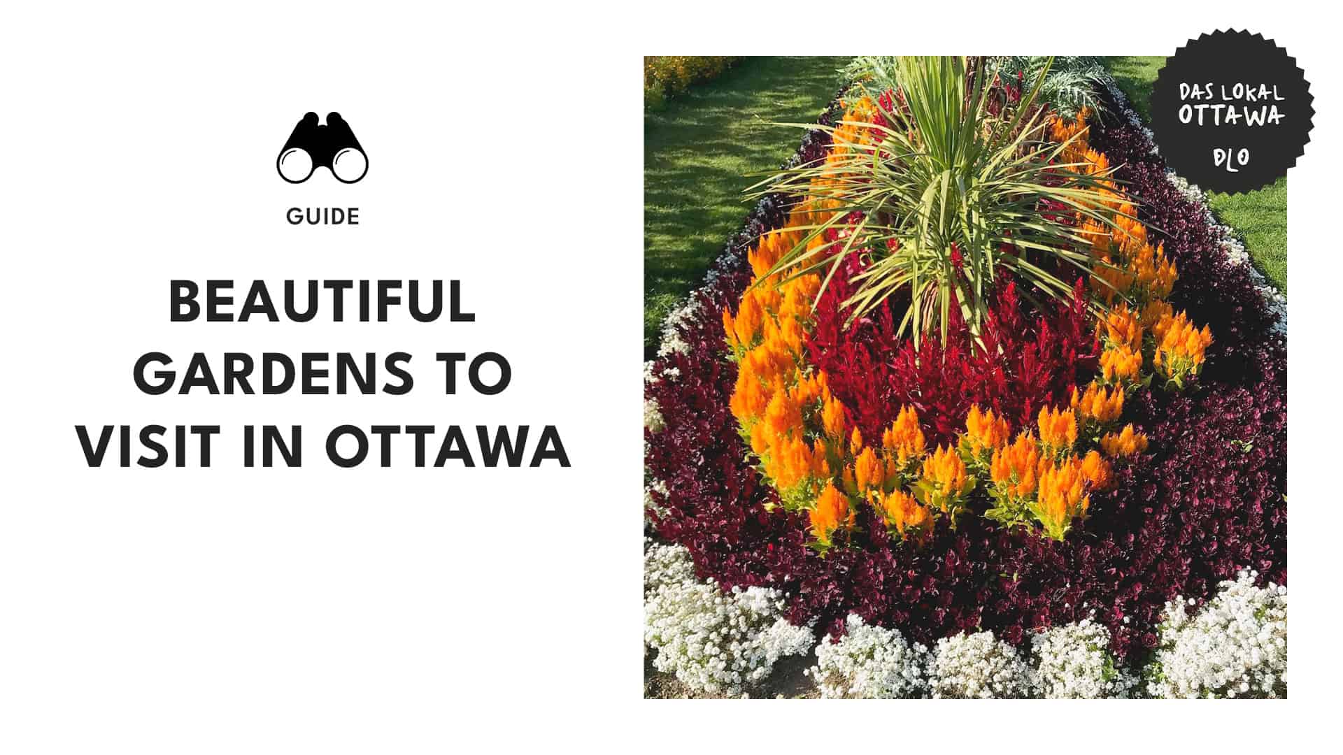 Nature at Its Finest Beautiful Gardens to Visit in Ottawa