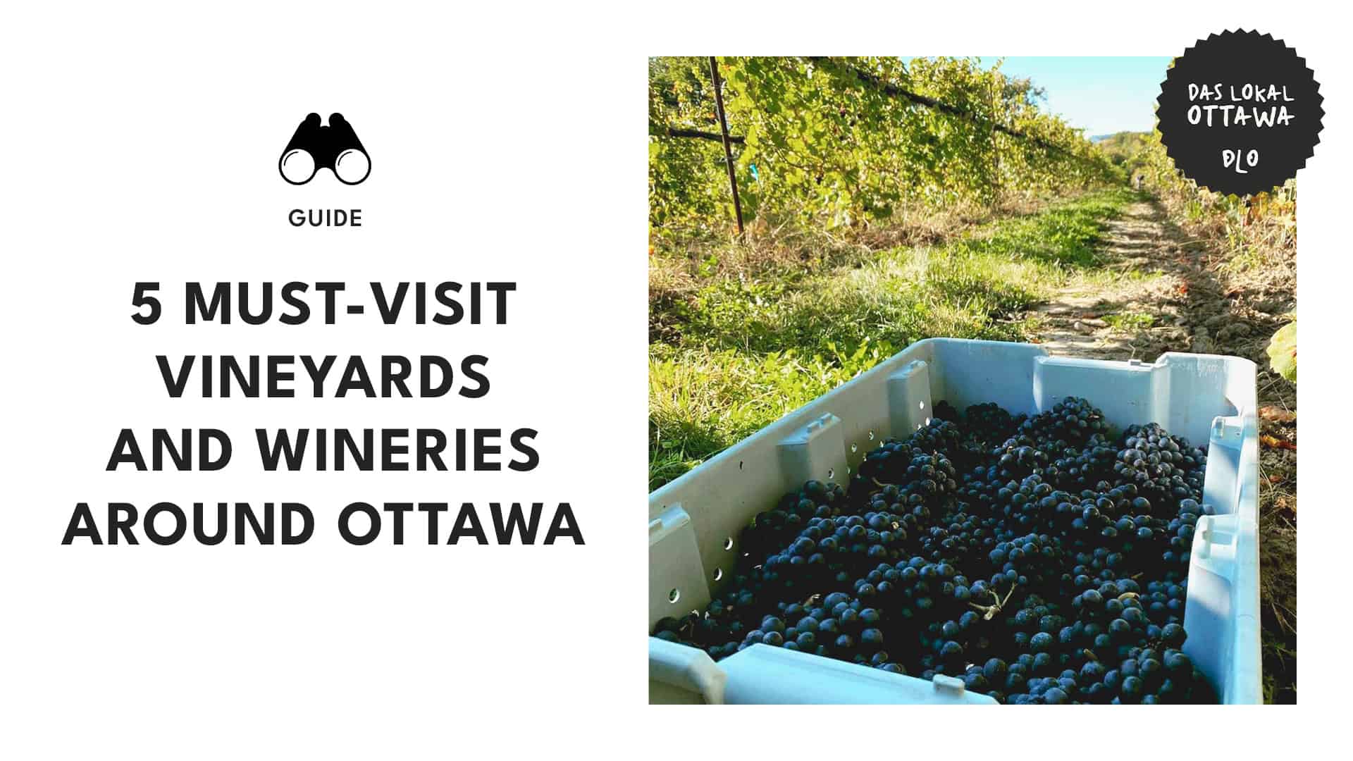 The 5 Best Vineyards in and near Ottawa