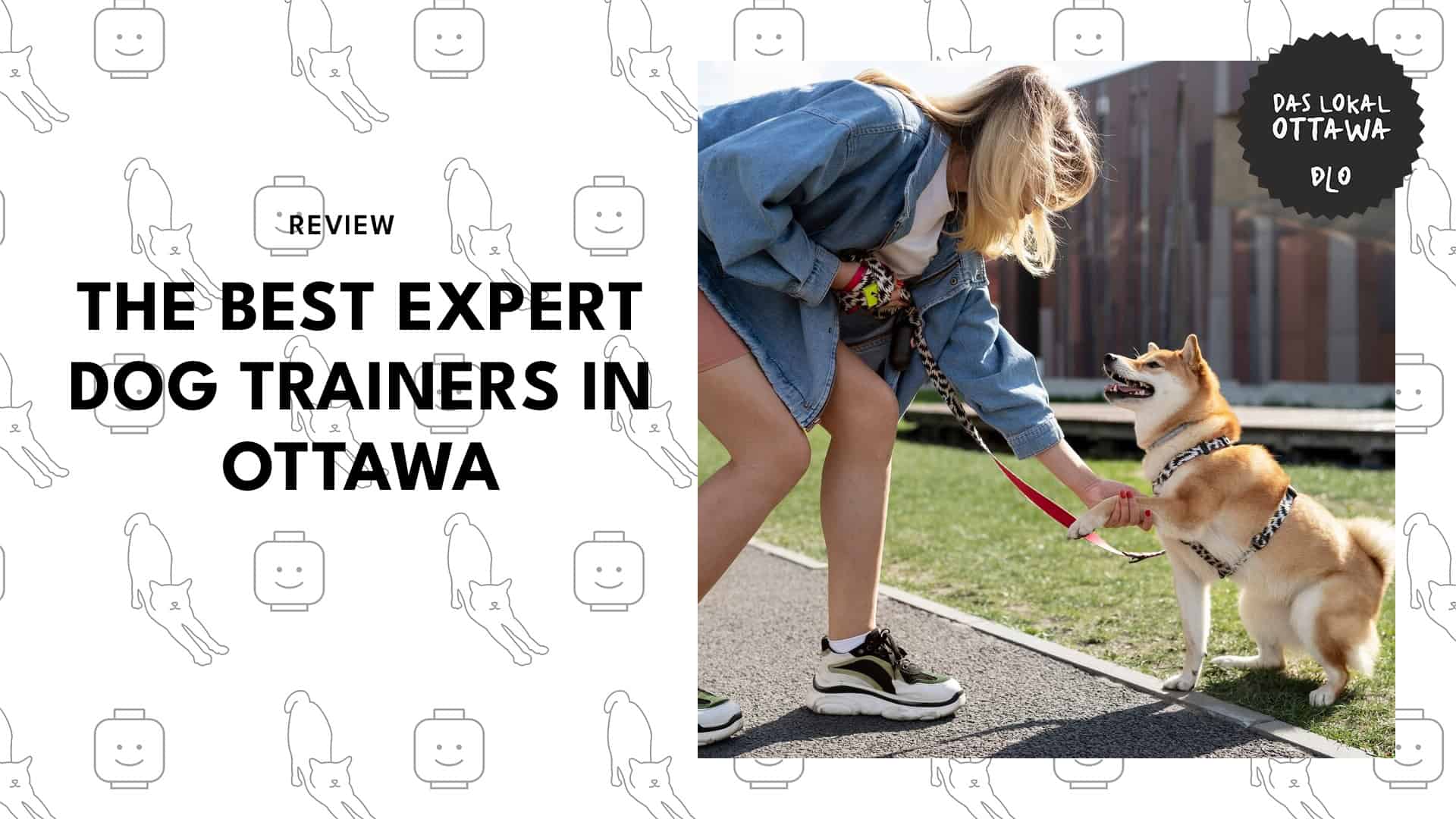 expert-dog-trainers
