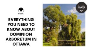 dominion-arboretum-in-ottawa