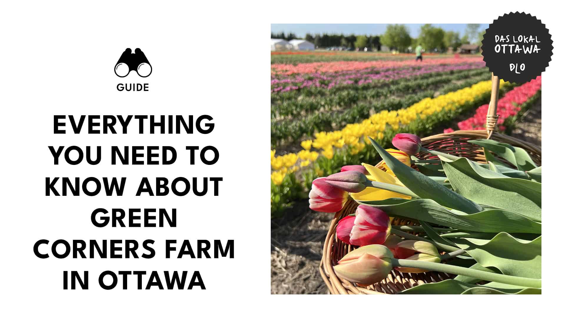 green-corners-farm-in-ottawa