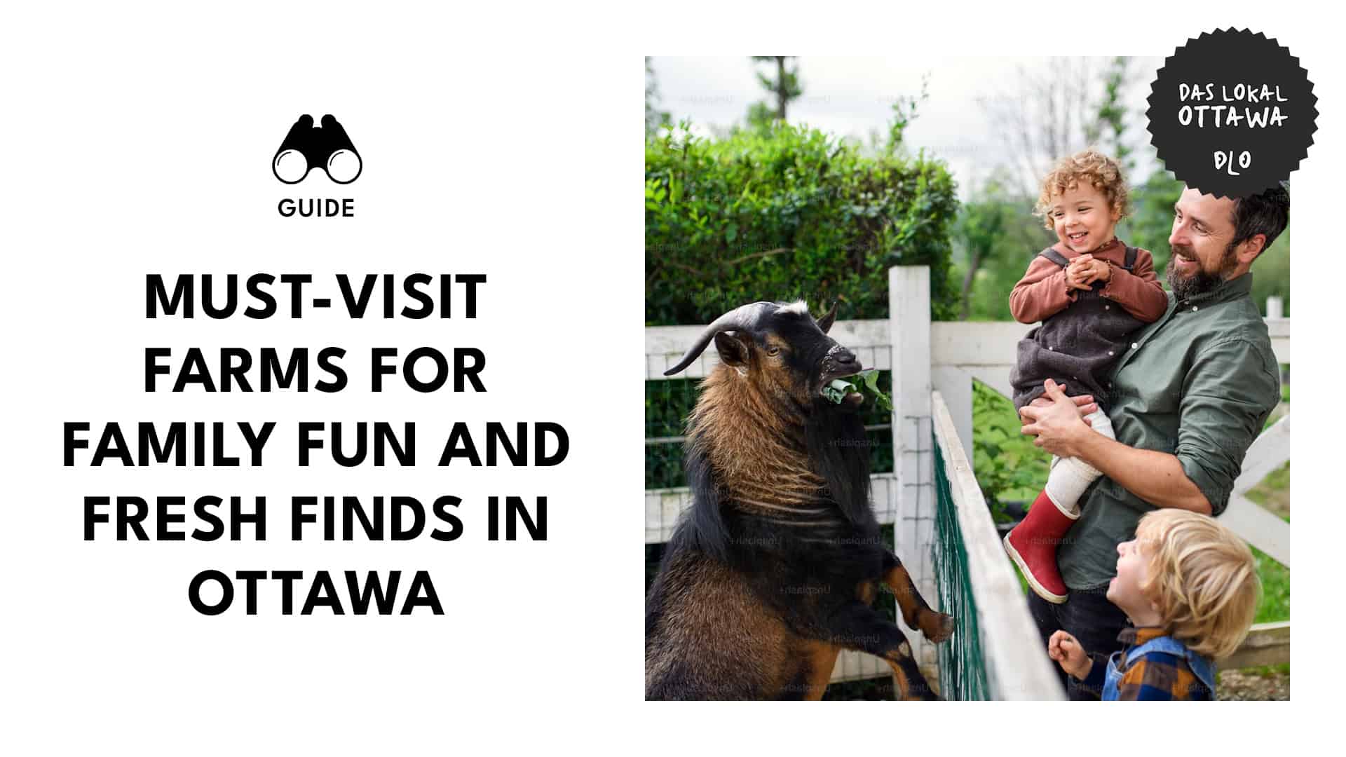 must-visit-farms-for-family-fun-and-fresh-finds-ottawa