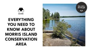morris-island-conservation-area