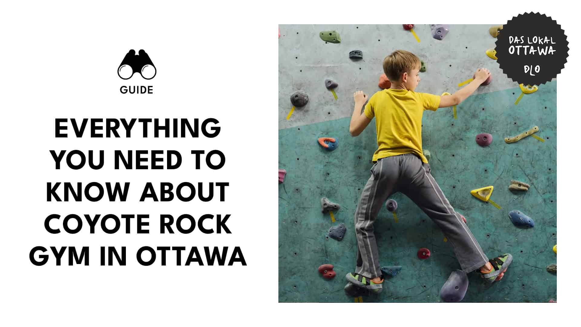 coyote-rock-gym-in-ottawa