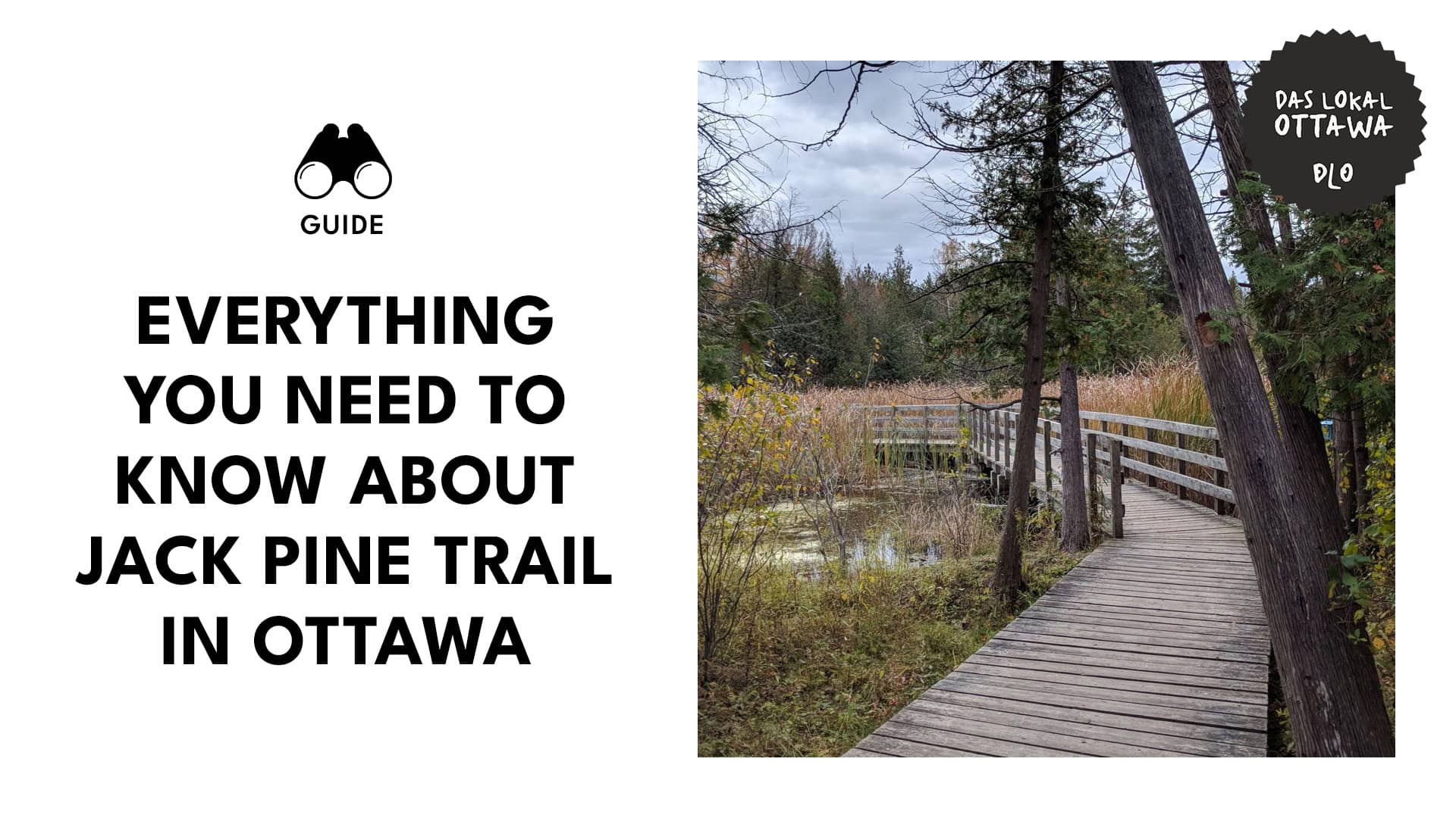 jack-pine-trail-in-ottawa
