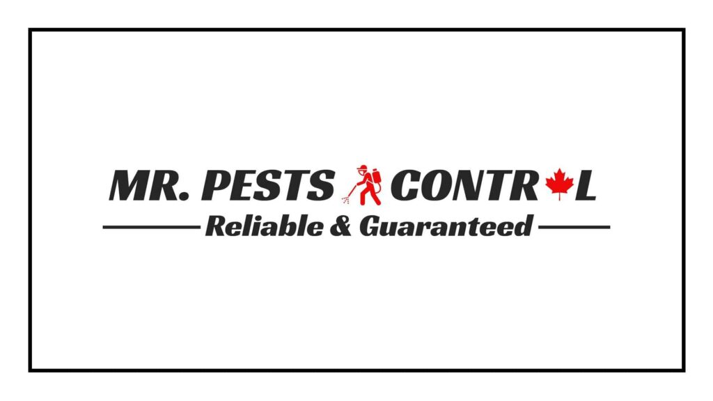mr-pests-control