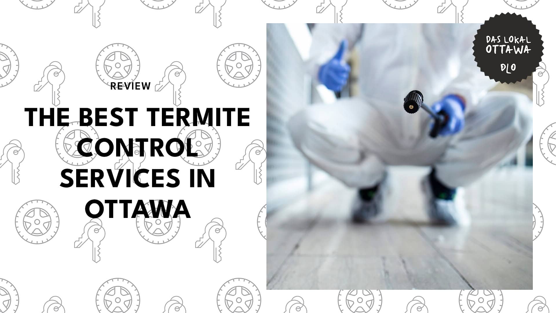 termite-control-services-in-ottawa
