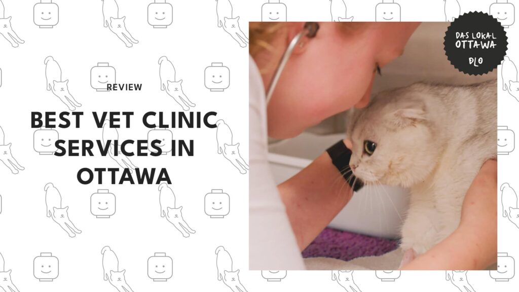 Trusted Hands for Your Pets: The 5 Best Vets in Ottawa You Need to Know