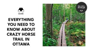 crazy-horse-trail-in-ottawa