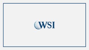 wsi-estrategies