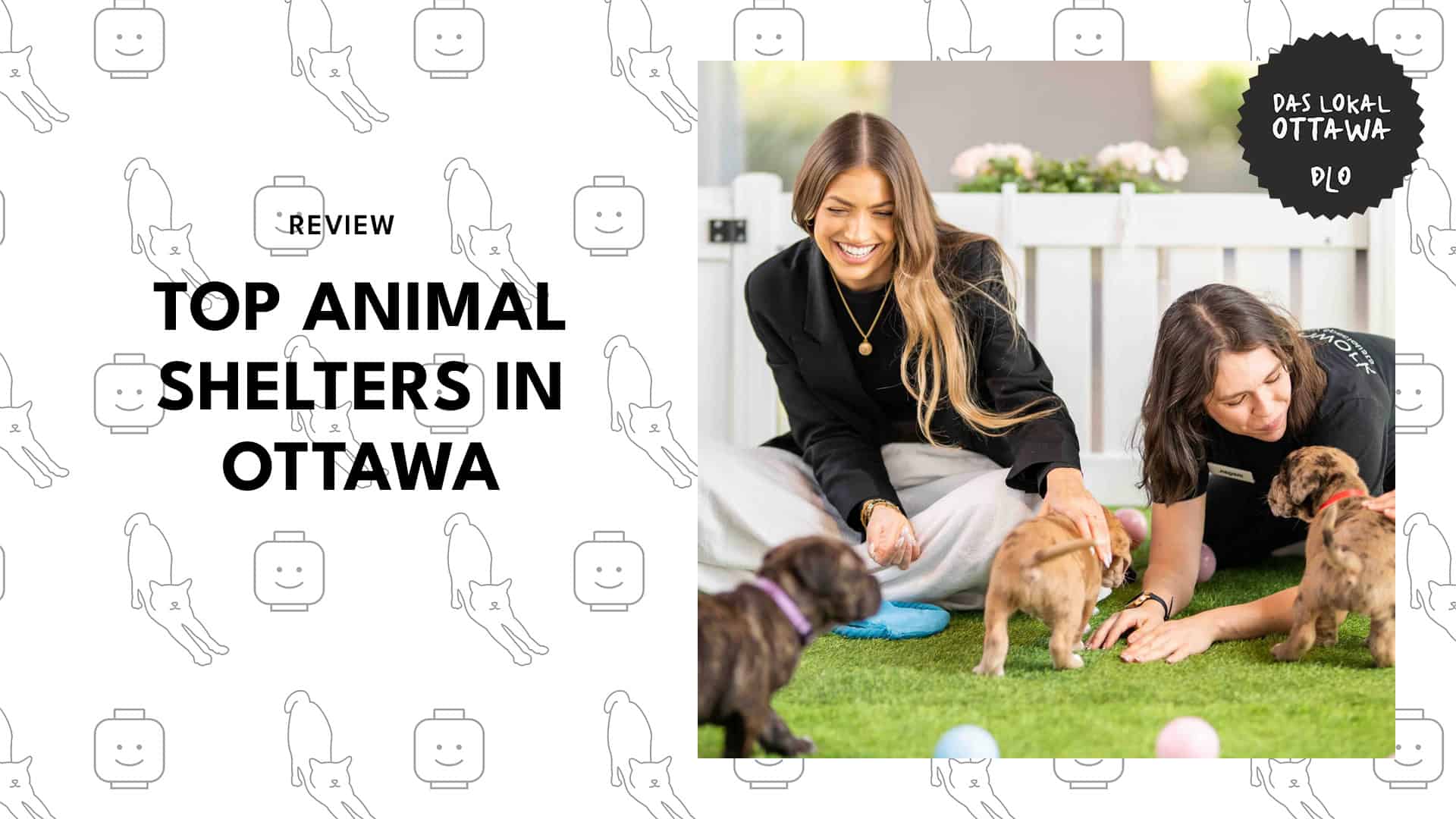 animal-shelters-in-ottawa