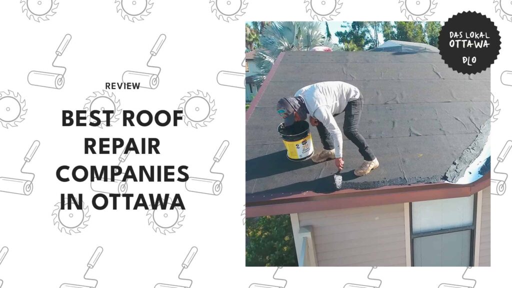 Ottawa’s 5 Roof Repair Companies That’ll Have You Covered (Literally!)