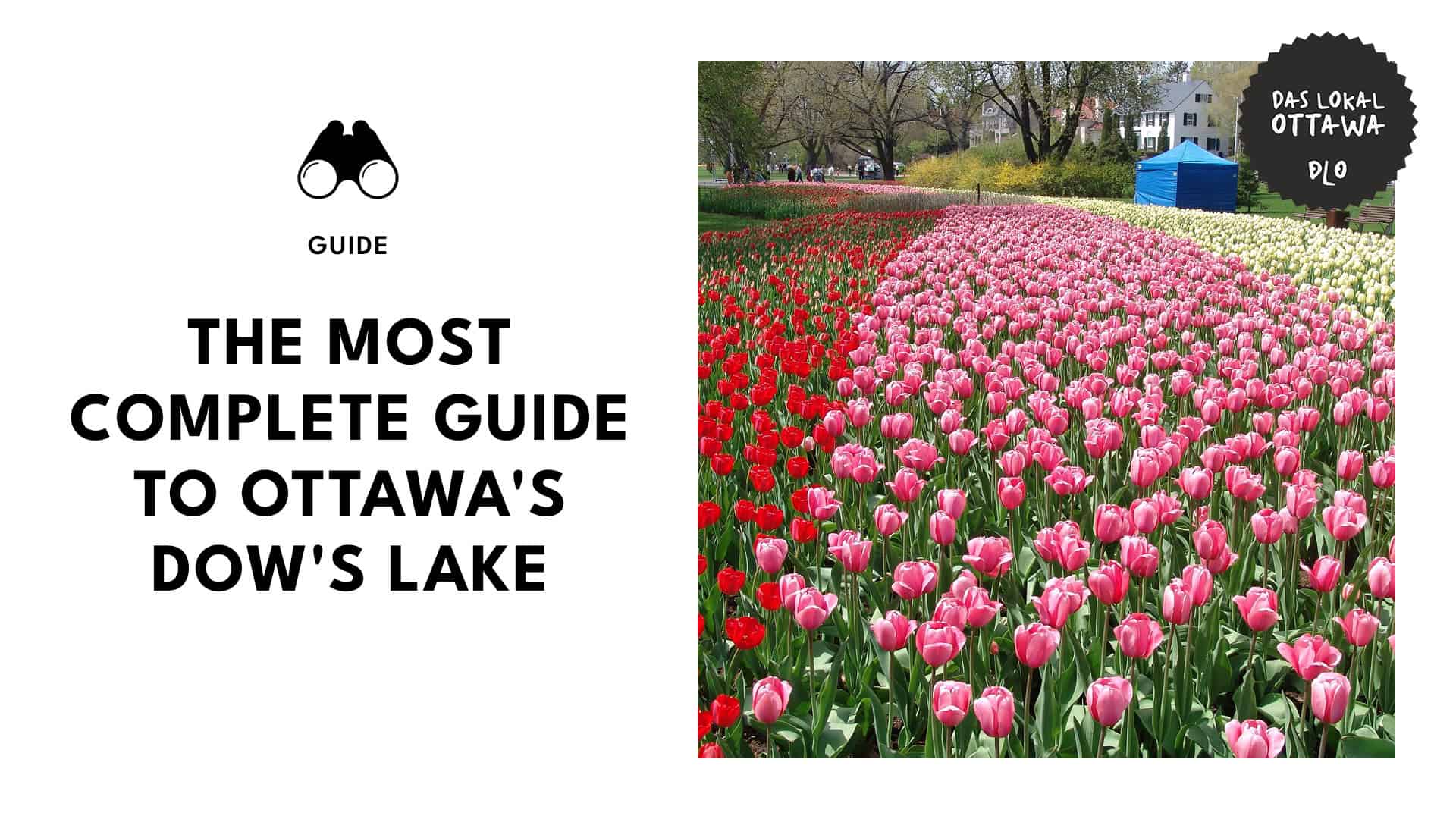 dow-s-lake-in-ottawa