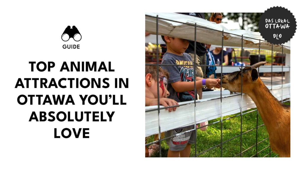 Zoos, Farms, and Furry Friends: 8 Animal Attractions in Ottawa for a Wildly Good Time