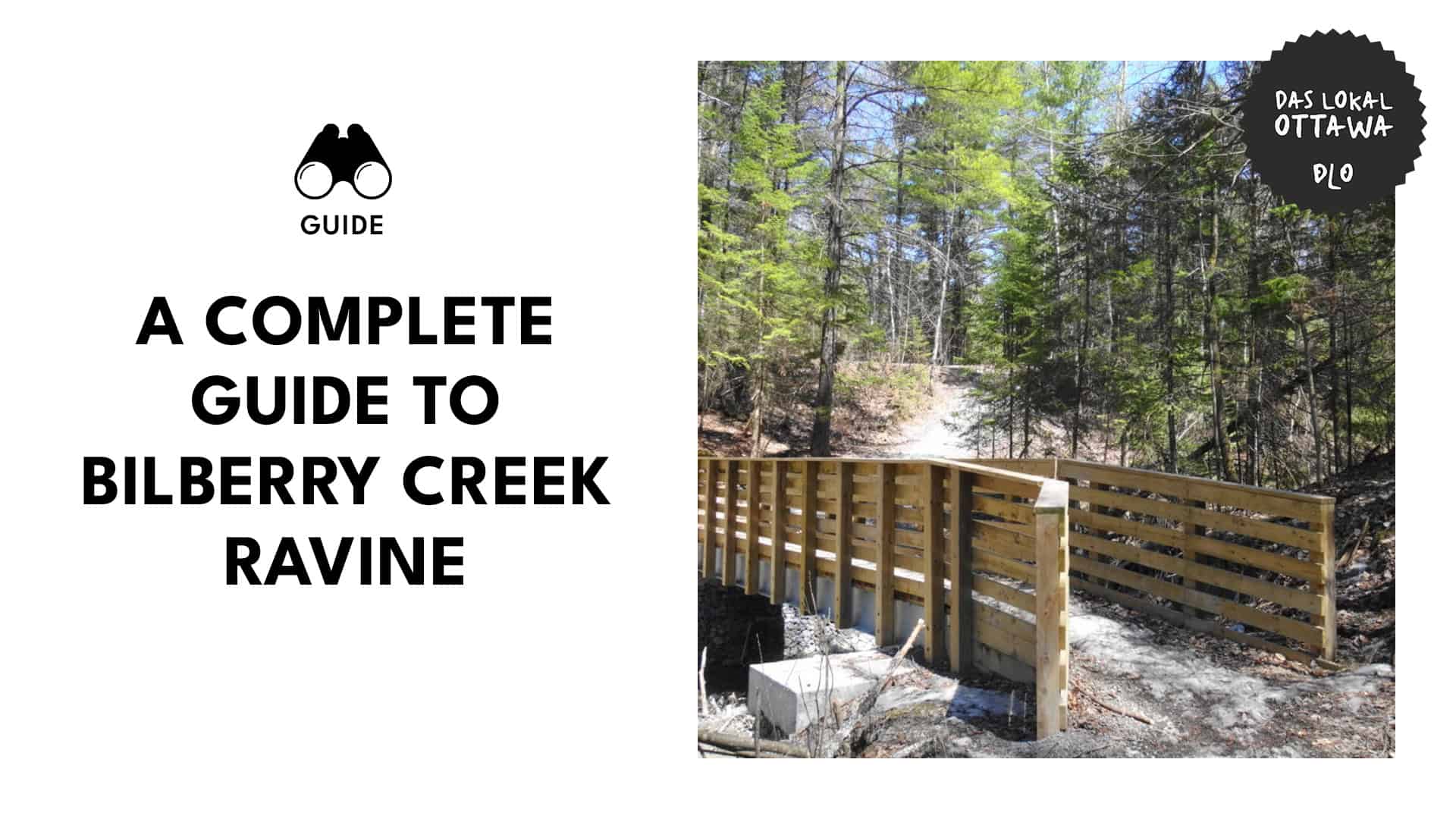 bilberry-creek-ravine