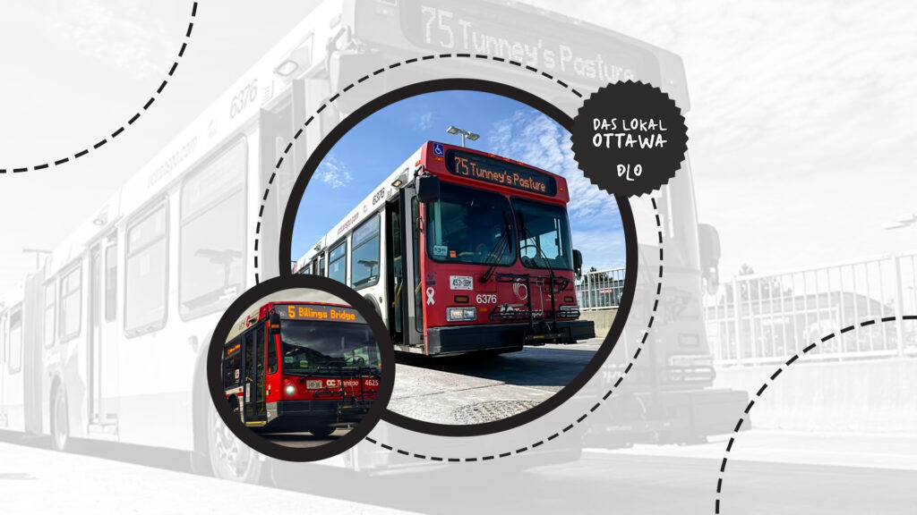 fisher-heights-transportation