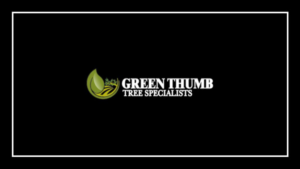 green-thumb-tree-specialists-inc-tree-removal-ottawa