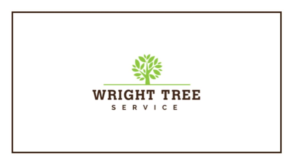 wright-tree-service