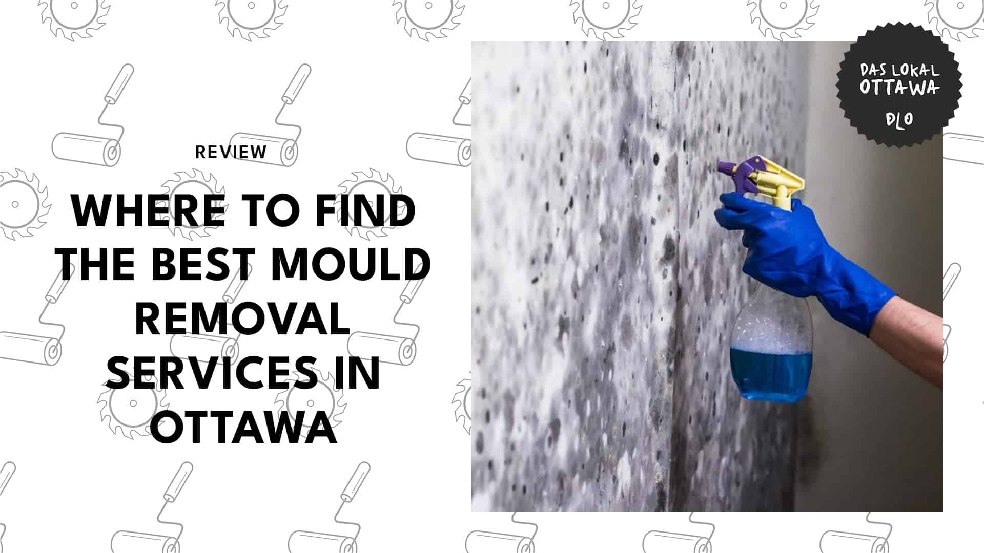 mould-removers-in-ottawa