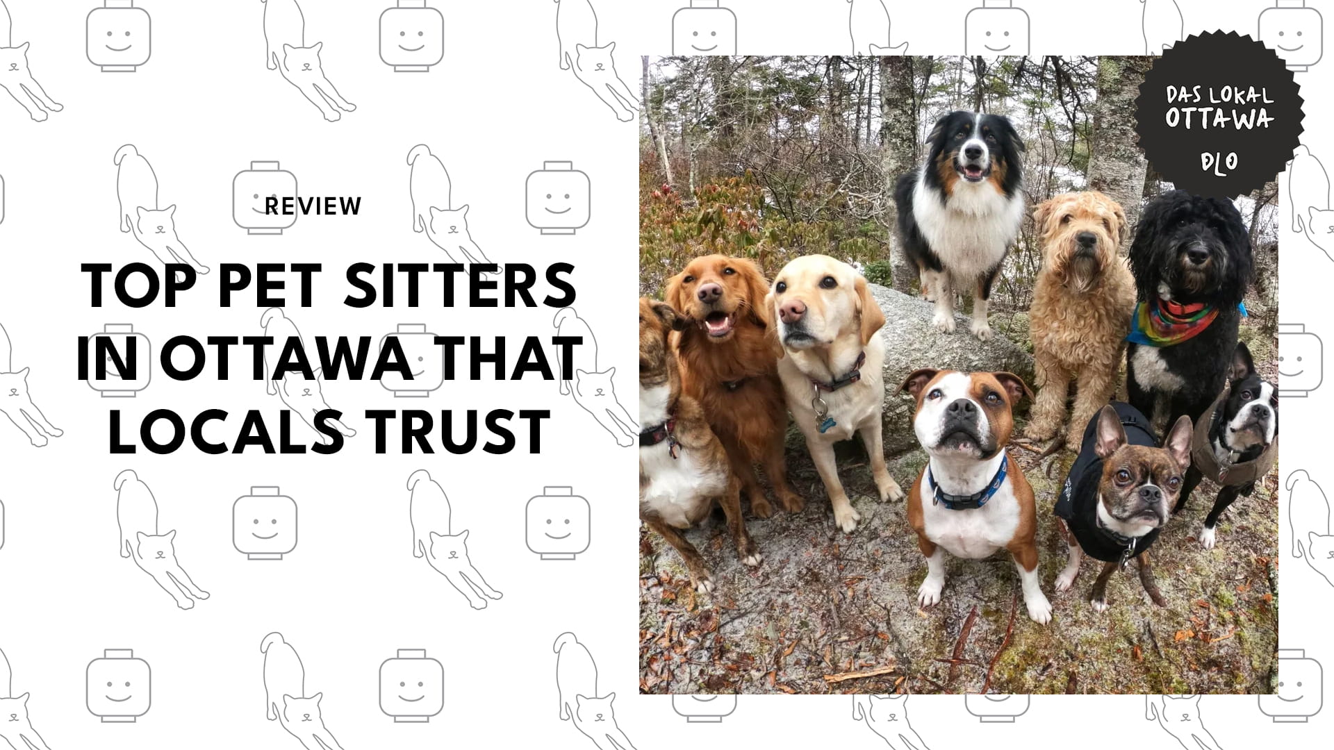 pet-sitters-ottawa-banner