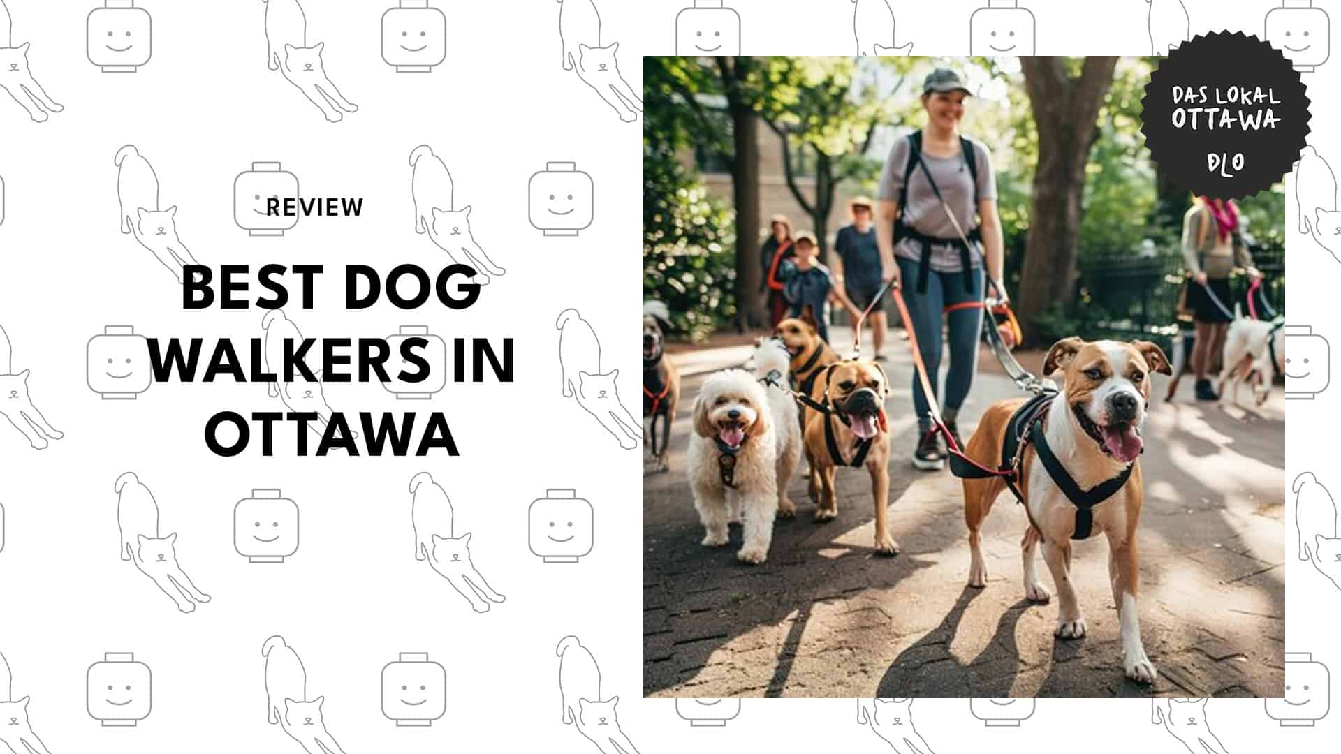best-dog-walker-ottawa