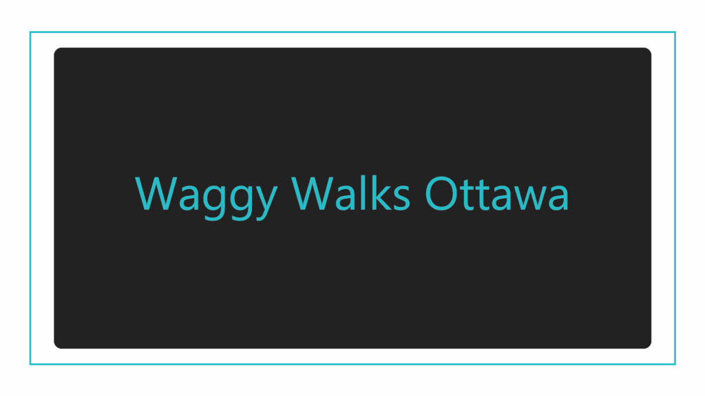 waggy-walks-ottawa