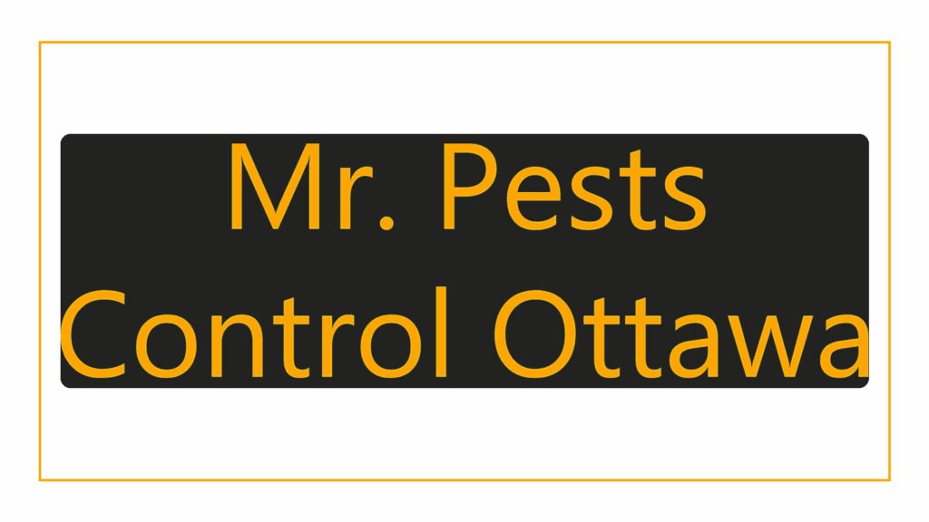 mr-pests-control-ottawa